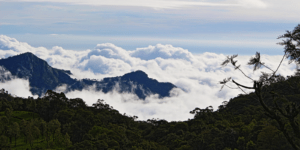 cloud-view in coonoor