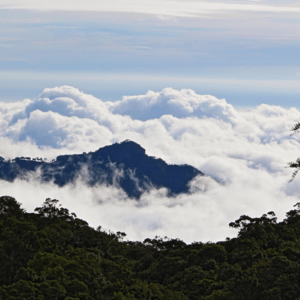 cloud-view in coonoor